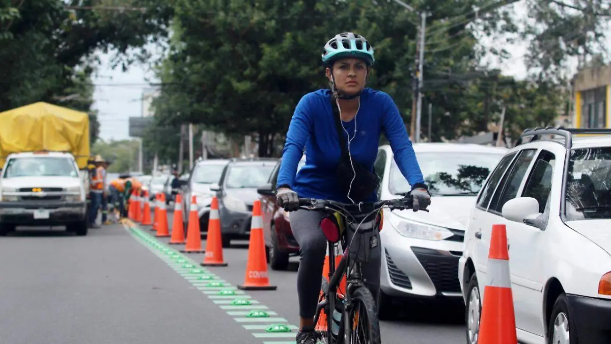 Carril Bici Bus